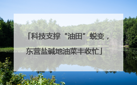 科技支撑“油田”蜕变，东营盐碱地油菜丰收忙